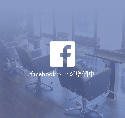 フェイスブック